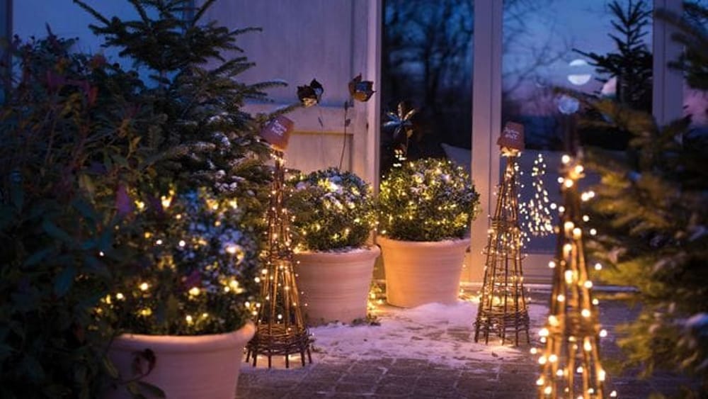 Giardino a Natale