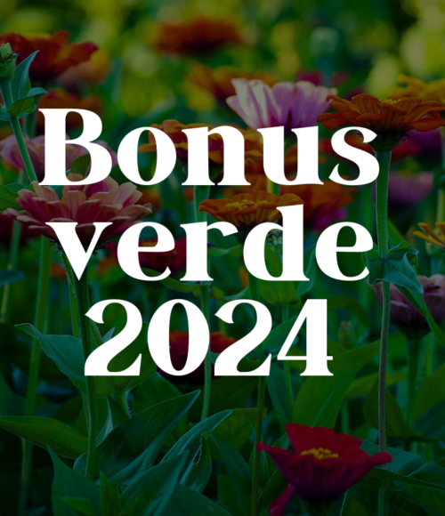Bonus verde 2024