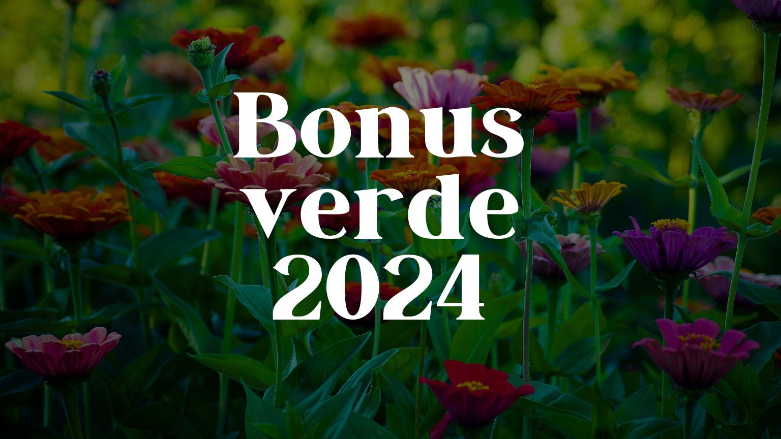 Bonus verde 2024